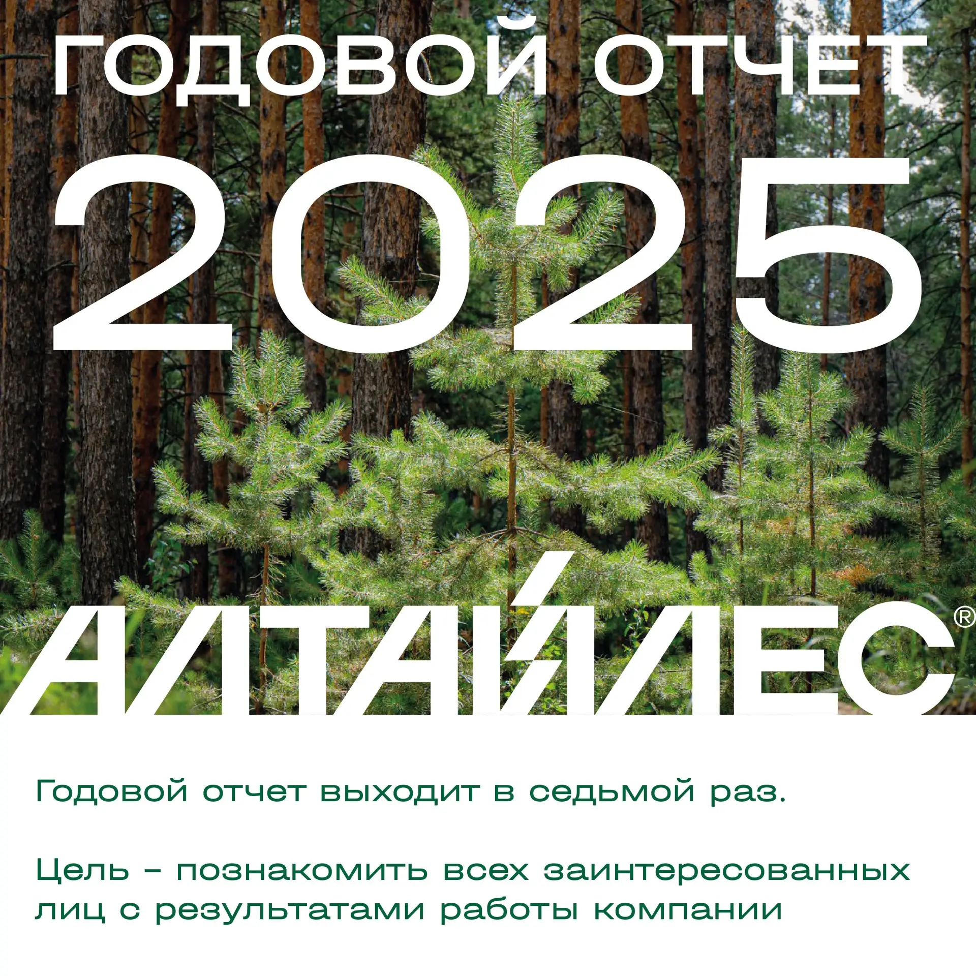 На сайте компании опубликован Годовой отчет холдинга «Алтайлес» за 2025 год. В документ...
