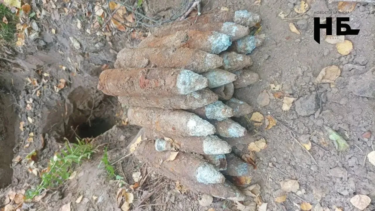 ❗️В Брянской области уничтожили 24 боеприпаса времён Великой Отечественной войны.