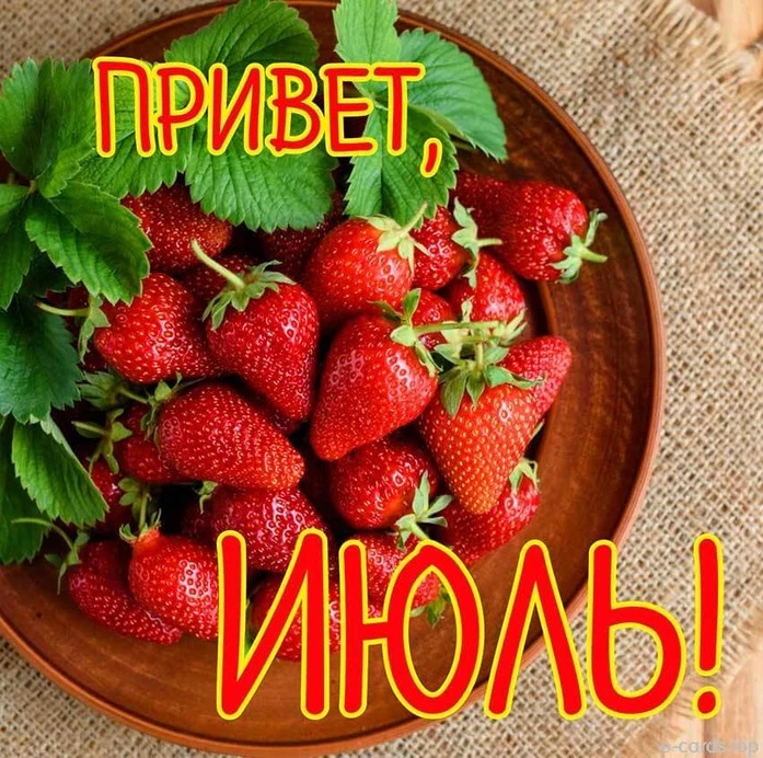🌺🌻🌺 С Первым днём июля!