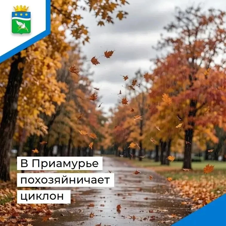Дожди, ветер и резкое похолодание ждет амурчан на выходных