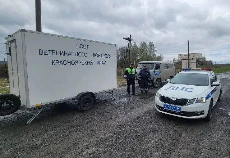 Красноярский край поставил карантинный пост на границе  После сообщений об очаге пастереллеза в Кузб