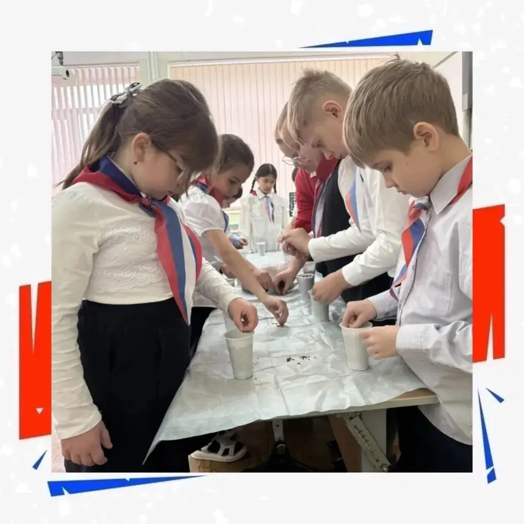 От семечка к дружбе 💚  Сегодня Орлята России 2 «Д» класса, активные участники городского экологическ