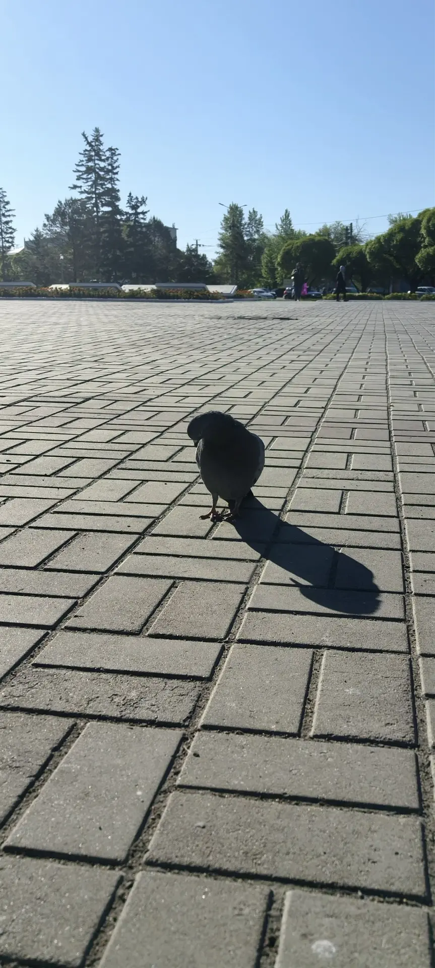 🎬 #омскоефотонедели