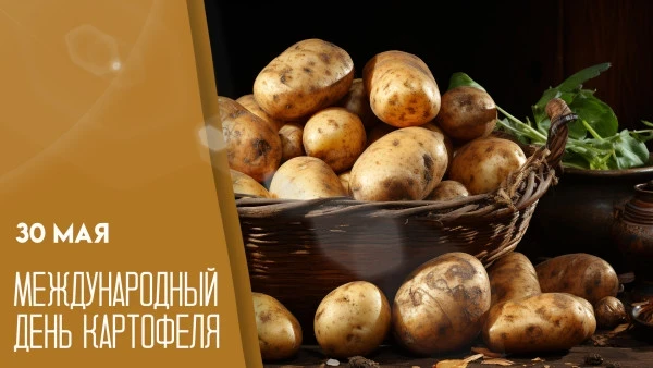 Провели мероприятие в честь этого праздника. Поговорили о том, какие блюда можно пригот...