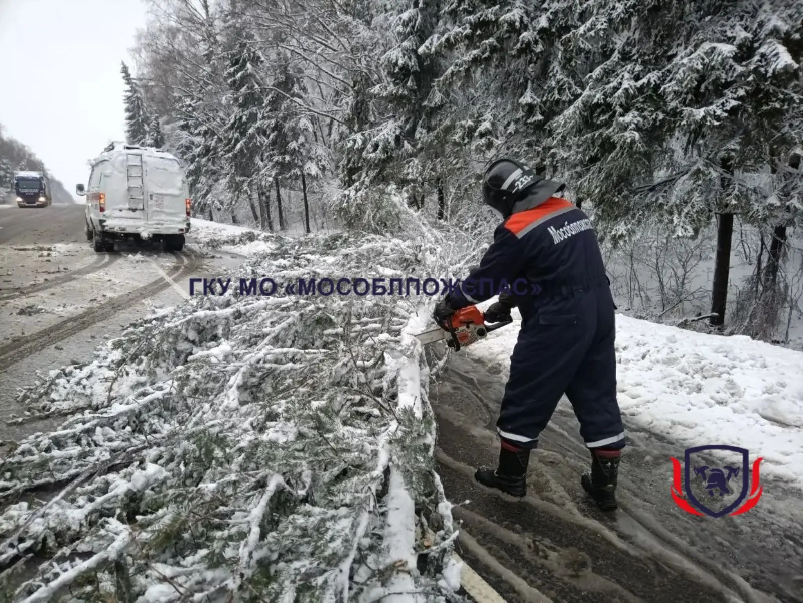 ❄️Оборванные провода, деревья на трассе. Спасатели продолжают ликвидировать последствия снегопада 🚨 