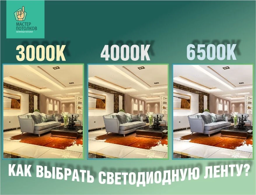 🔆 В нашем ассортименте представлены ленты под каждую задачу, но как выбрать❓