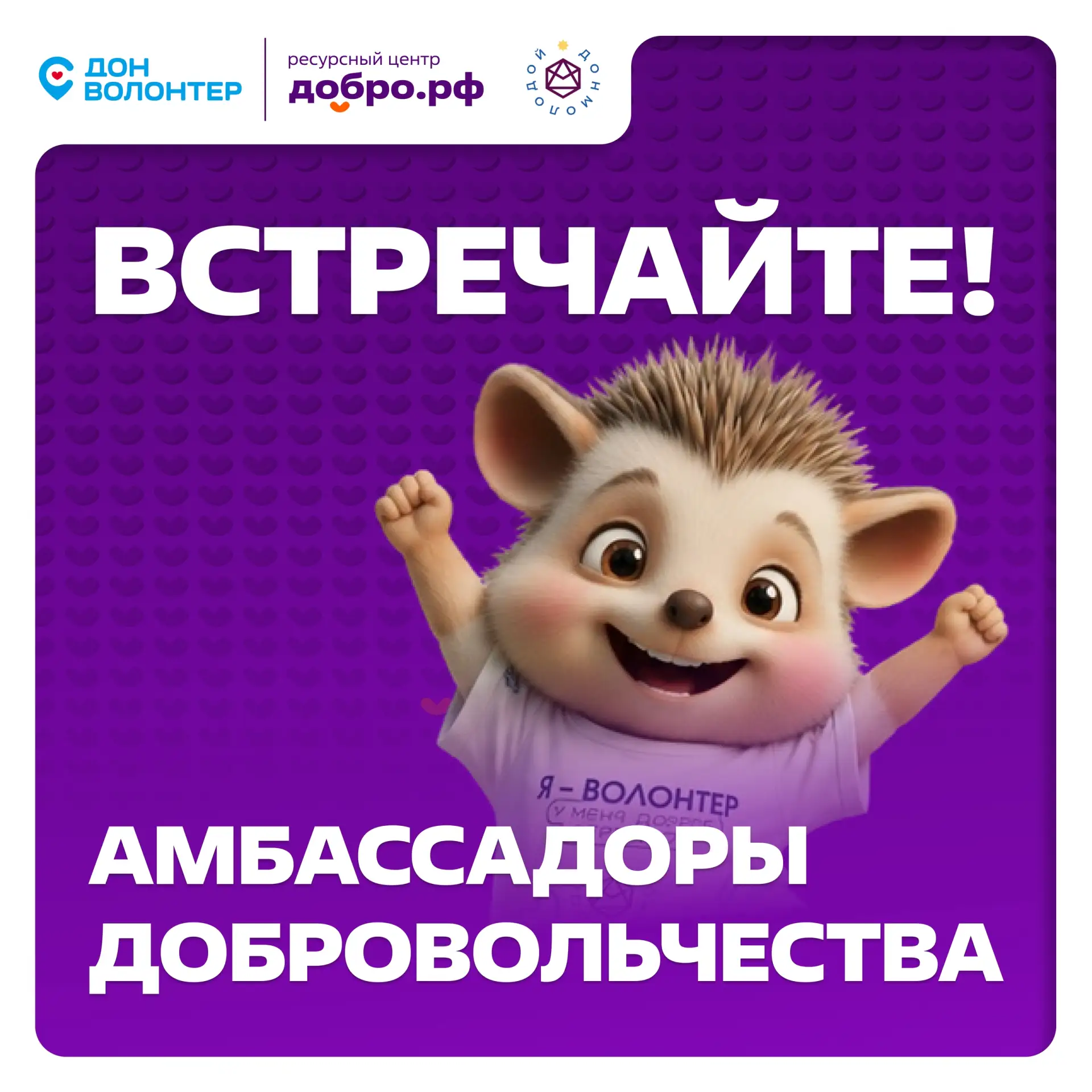 Добро шагает по Донской земле — и сегодня у нас особенный повод для радости! 🤍
⁣
Добро.Центр Волгод