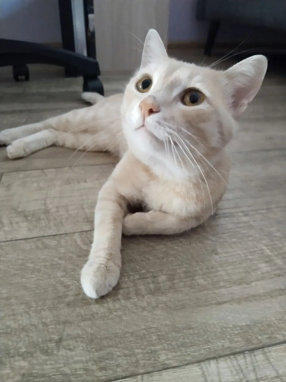 🐈‍⬛Помогаем информационно!