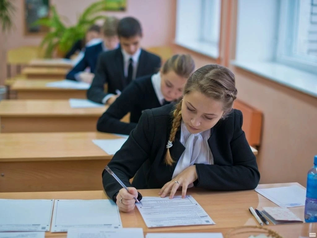 Результаты ЕГЭ привели в шок всех экспертов