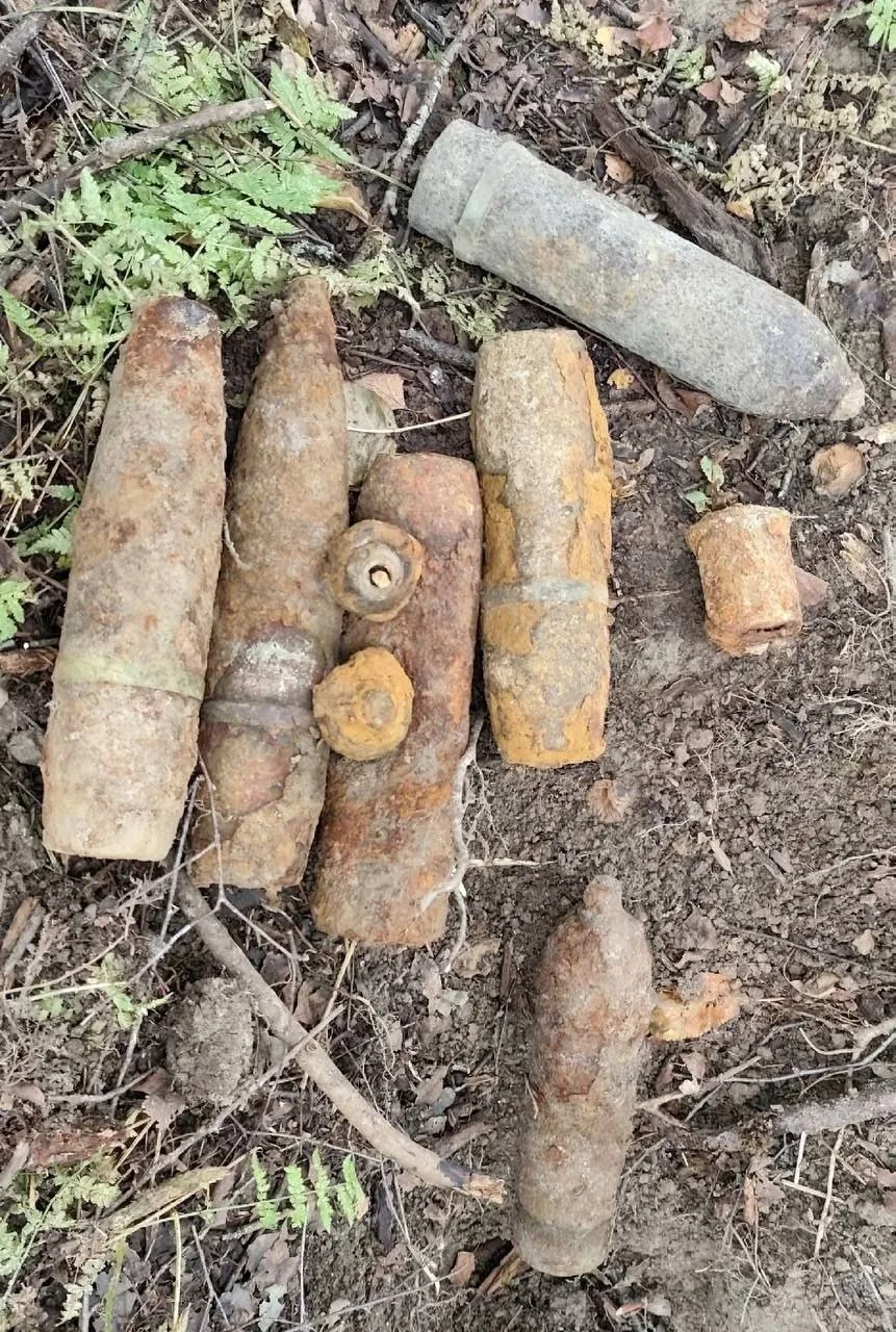⚡️Целый склад боеприпасов времен ВОВ обнаружили в Ельнинском округе