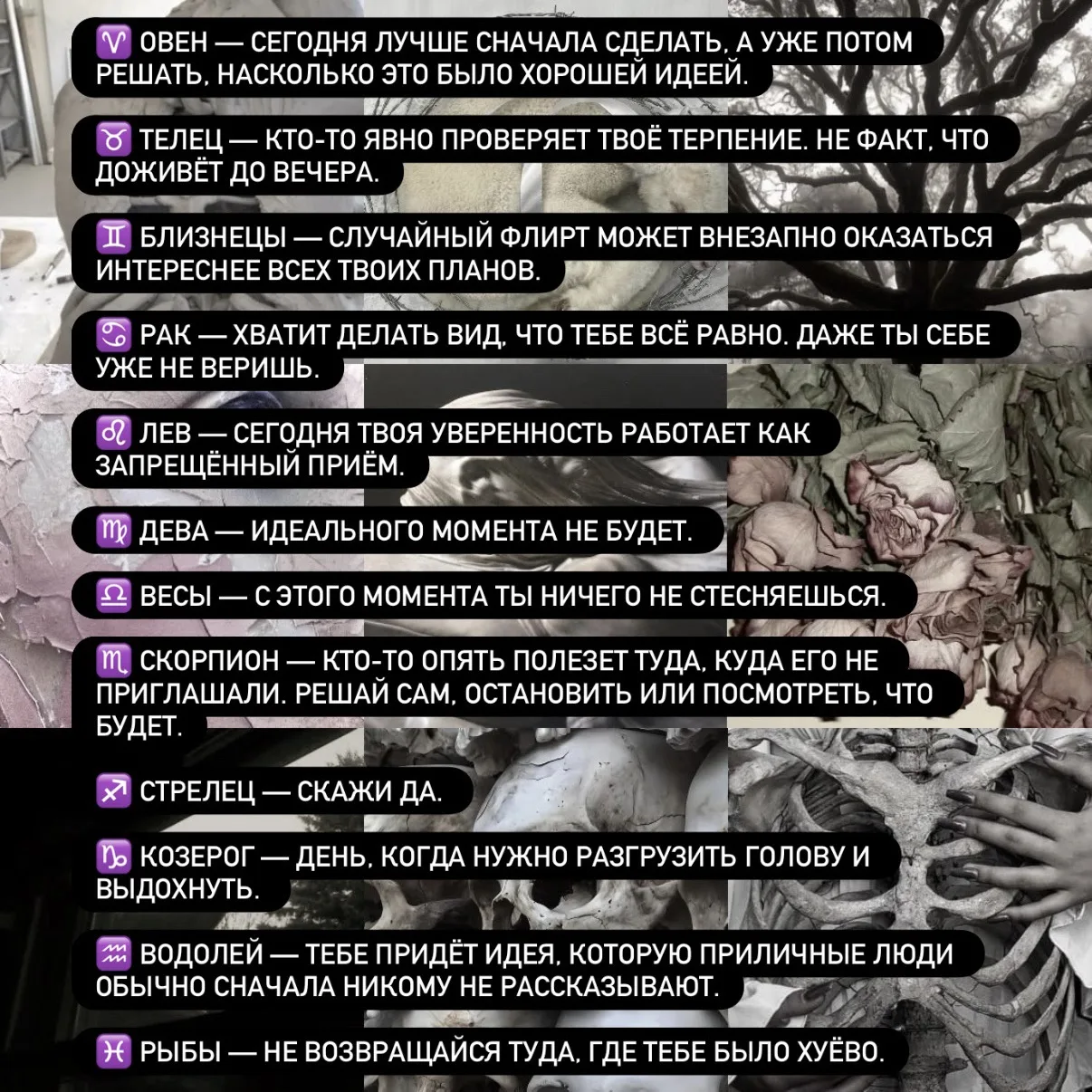 Дополнительный на 12 сентября