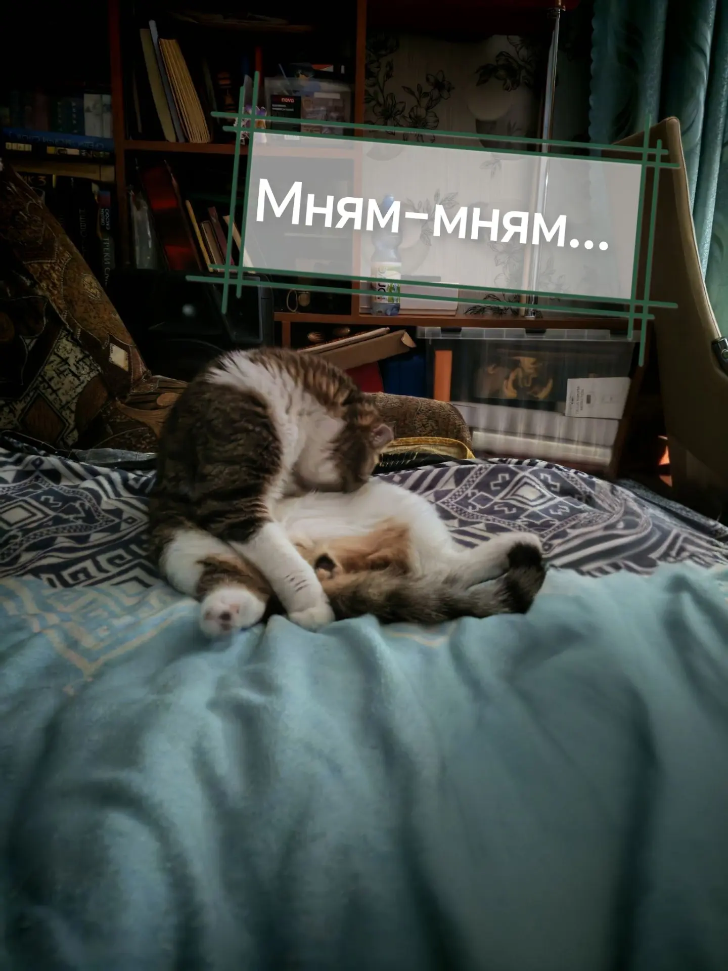 В этом весь Федор 😆