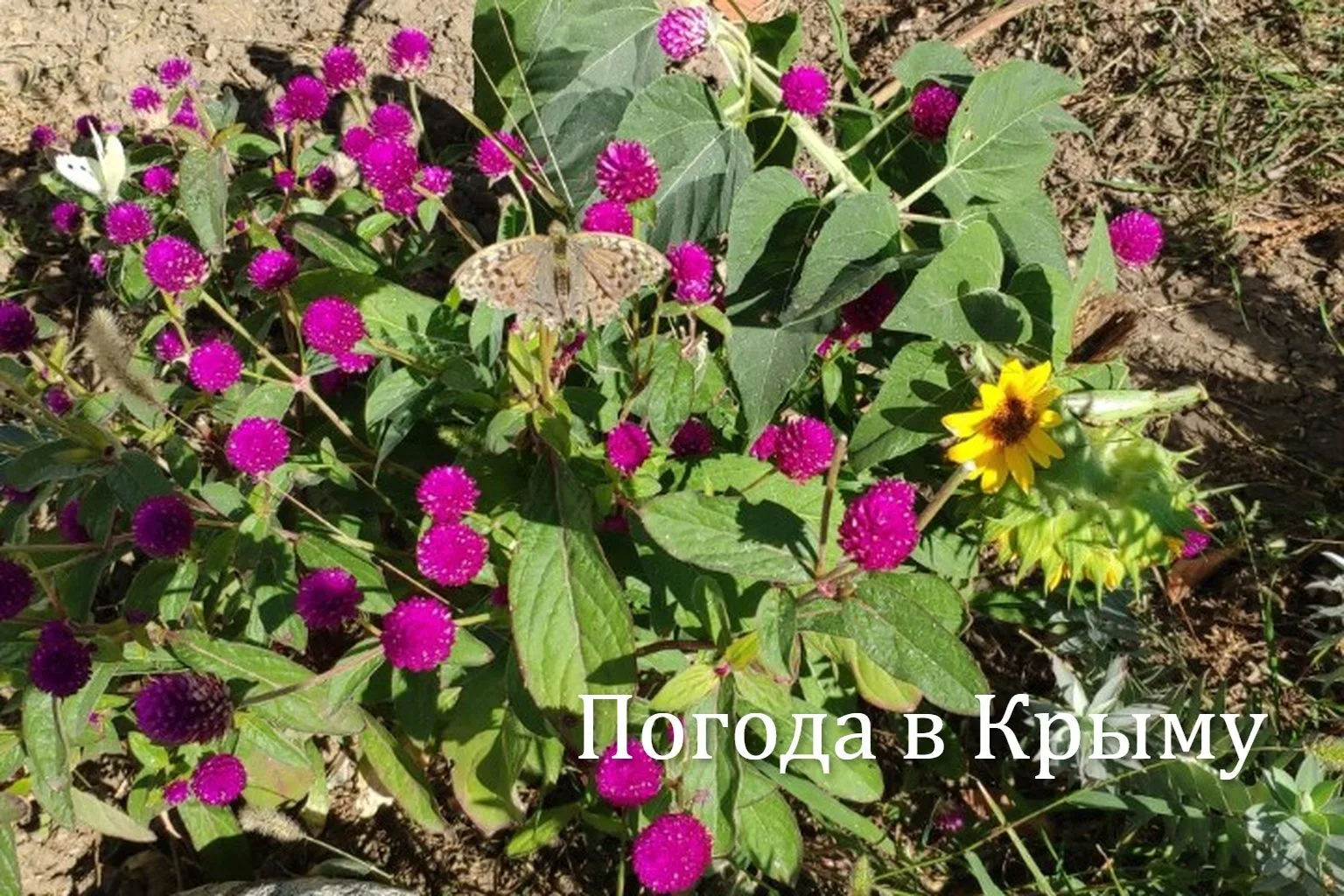 Доброе утро!