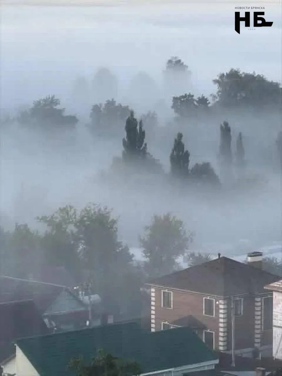 🌫️ Брянская область, 8 октября: туман ночью и до +20 днём