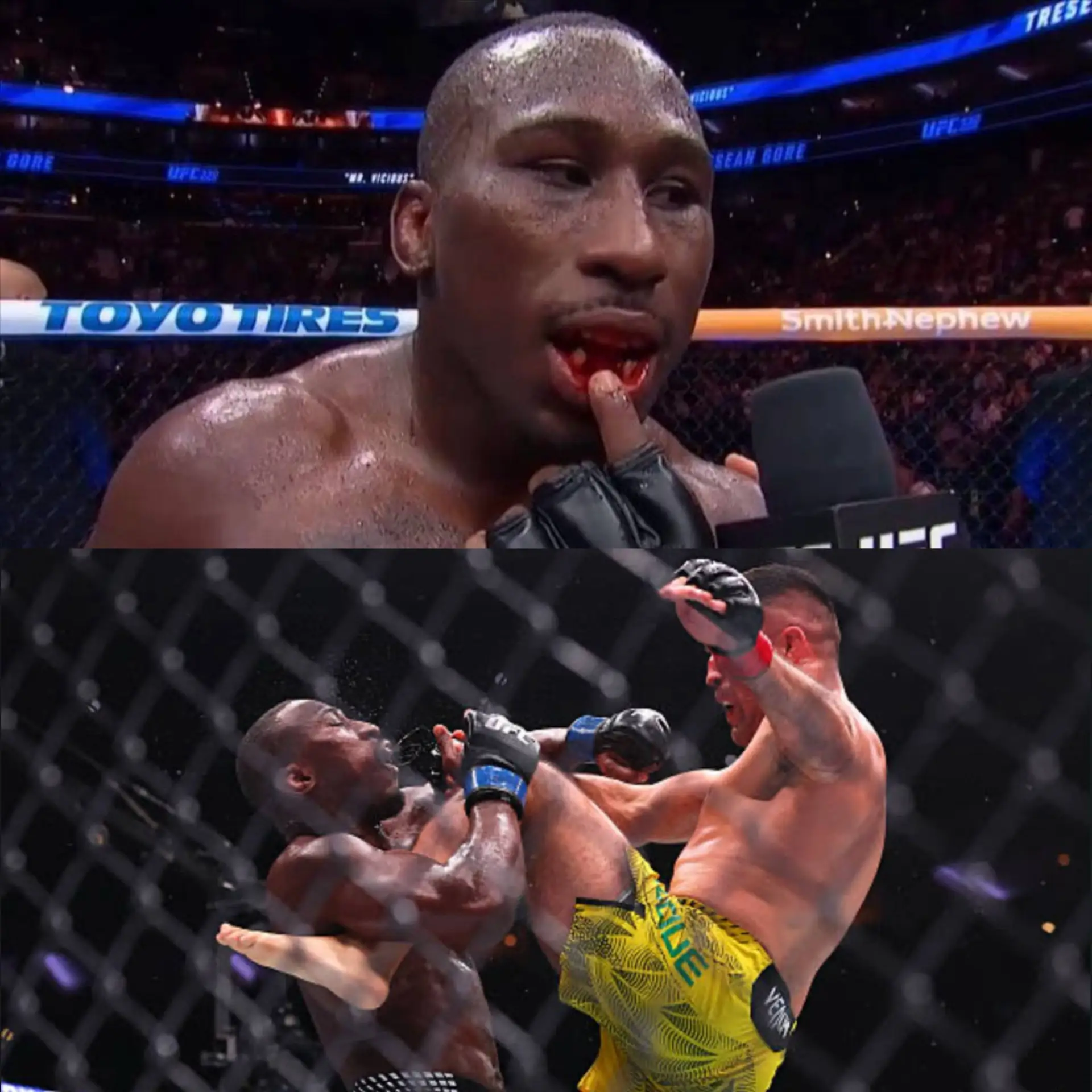 Изображение 1 к публикации «UFC»