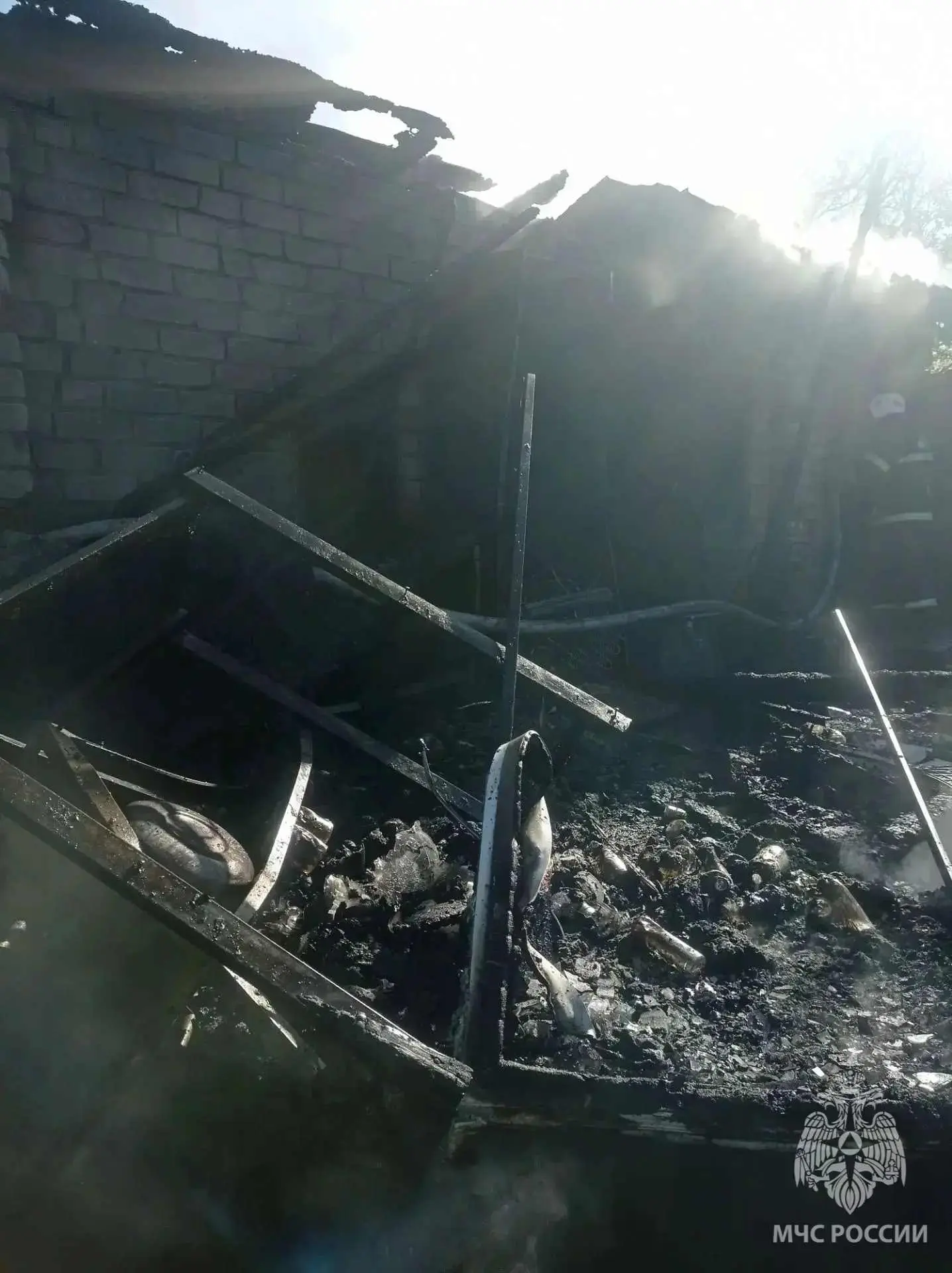 3 собаки и 4 кошки погибли в результате пожара в нижегородском селе Большая Ельня, сооб...