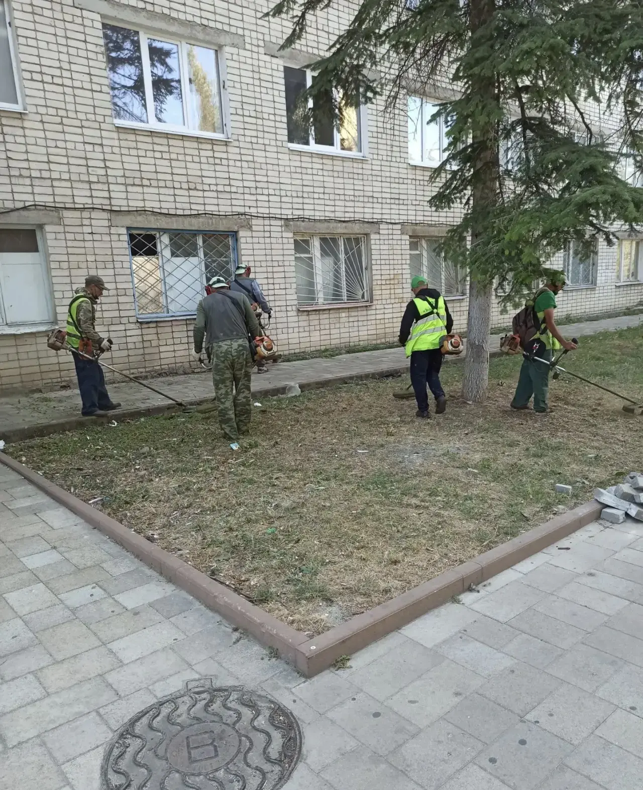 Также сегодня были прокошены улицы Горького и Первомайская🌱