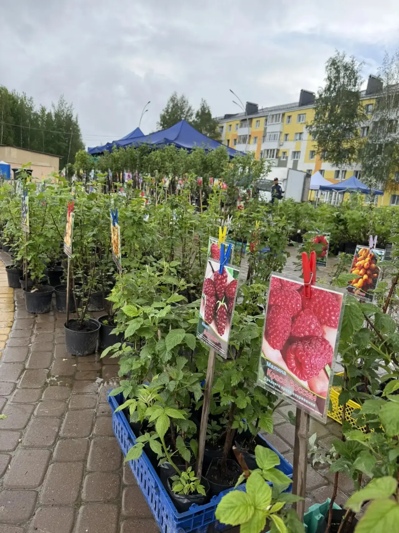 ⚡️Приходите на ярмарку выходного дня