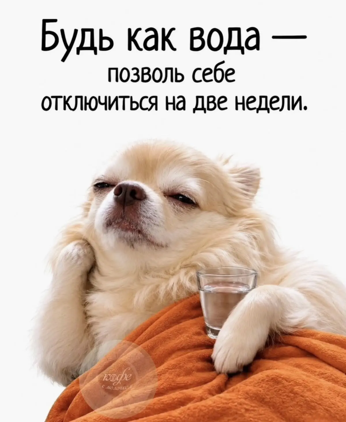 ✨ Тёплые послания