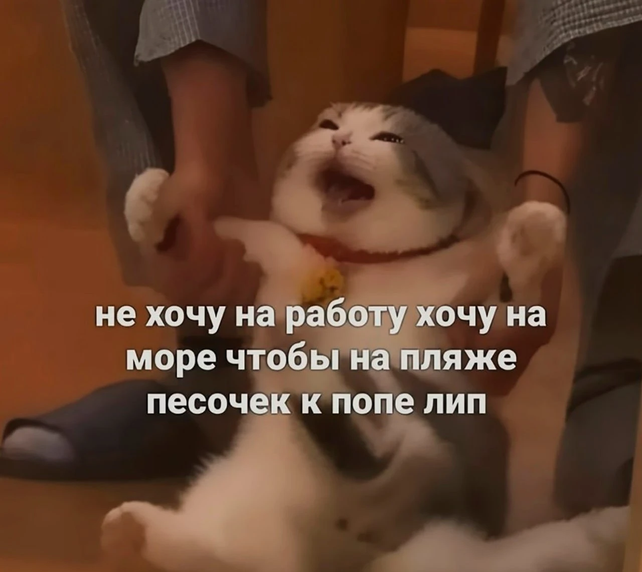 Утро понедельника, состояние:
