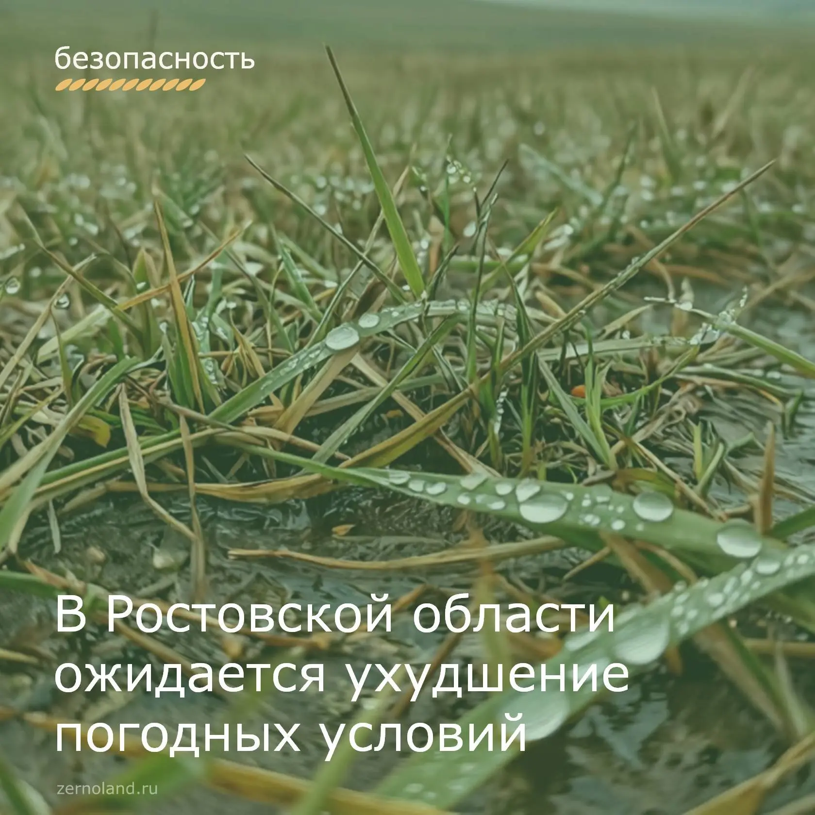 ❕ По данным метеорологических служб, местами в Ростовской области с 10.00 до 13.00 часов 18 июня, а 