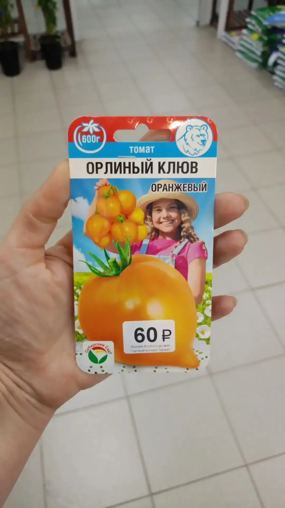 «Термит»: Томат «Орлиный клюв» оранжевый — редкий сорт с медовым вкусом! 🍅🧡