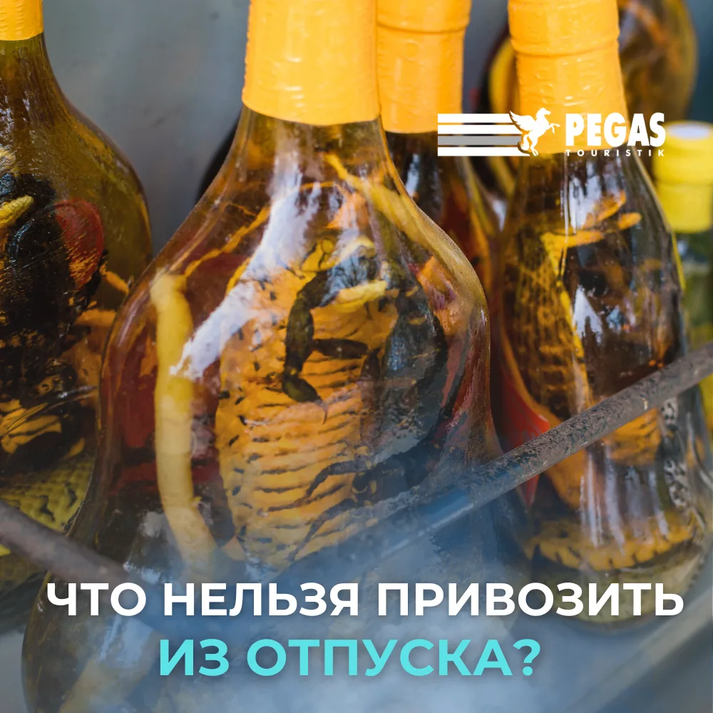 Что нельзя привозить из отпуска? 🚫🧳

Кажется, что сувениры - это безобидные мелочи. Но некоторые и