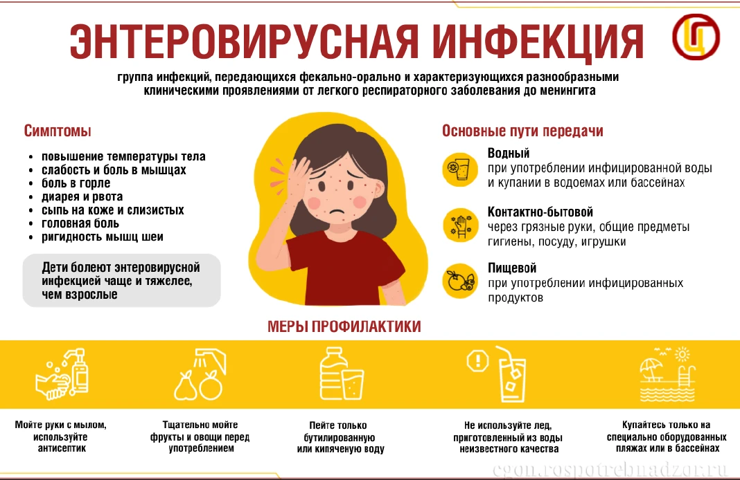 Профилактика энтеровирусной инфекции (ЭВИ).
