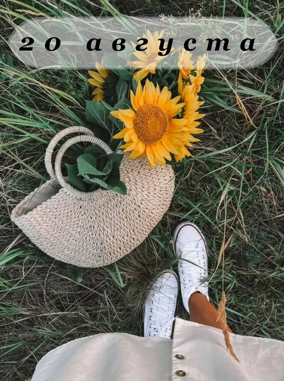 🛍️🛍️🛍️🛍️🛍️