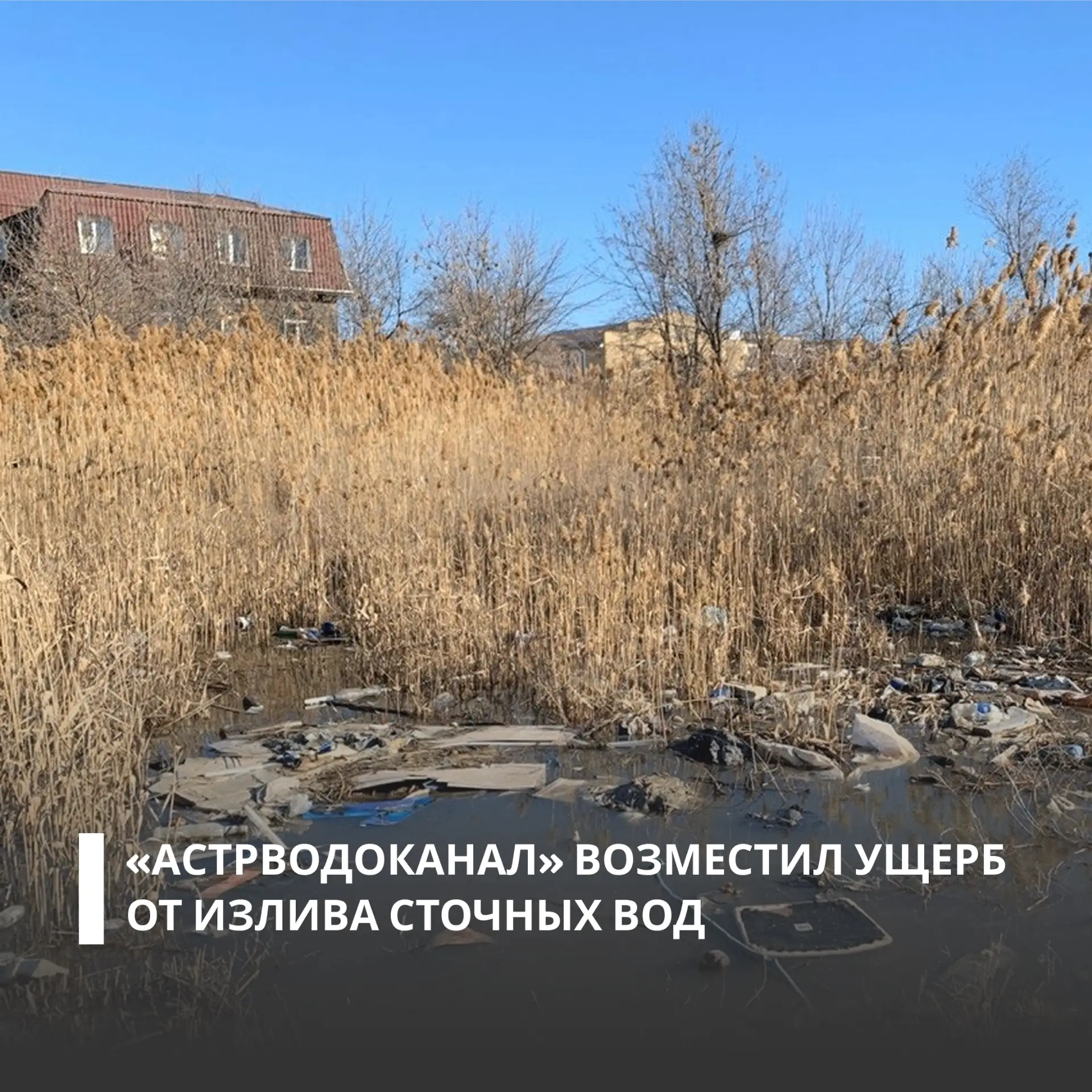 По материалам Росприроднадзора суд взыскал более 4,4 млн рублей за вред, причиненный почвам в Астрах