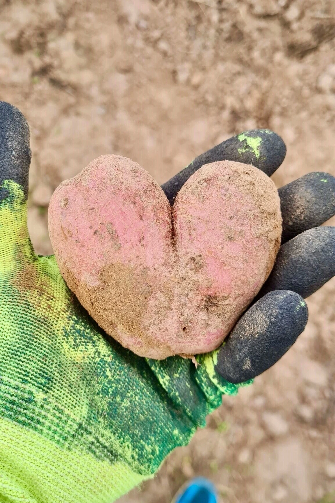🥔 Удивительная монастырская картошечка. Храни, Господь, всех помощников!