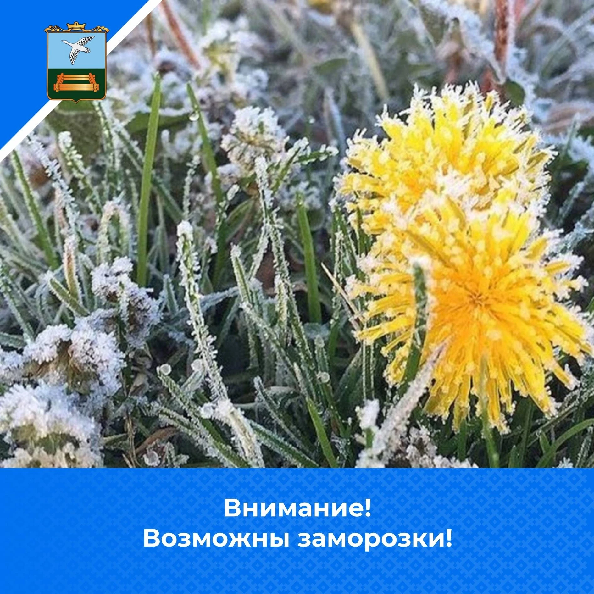 ЭКСТРЕННОЕ ПРЕДУПРЕЖДЕНИЕ ОБ ОПАСНОМ ПРИРОДНОМ ЯВЛЕНИИ!!!