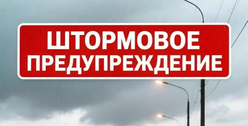 #какой прогноз у нас сегодня, милый?