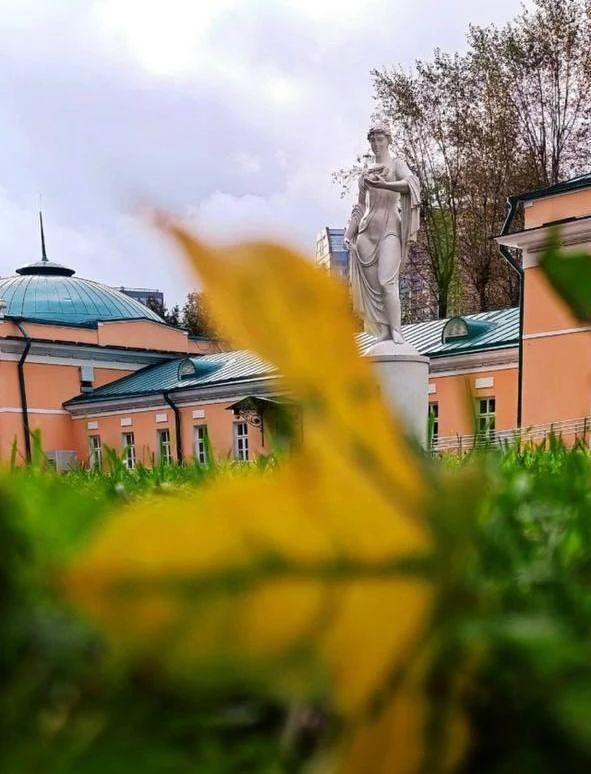 Вот уже и первая желтая листва появляется у соседей в Воронцовском)