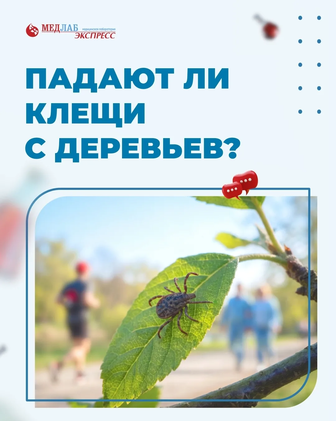 Кажется, что клещ может «спрыгнуть» на человека сверху. Но это миф.
