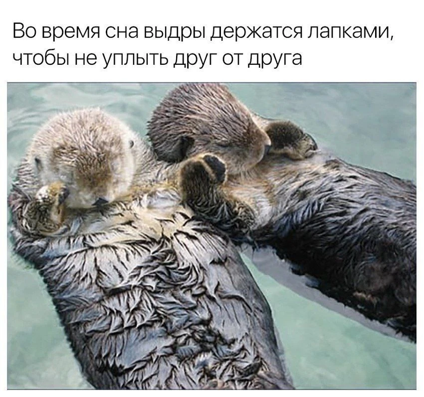 Это очень мило блин