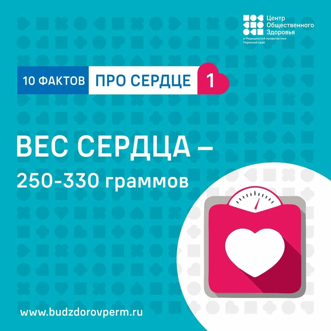 с 11 по 17 мая 2026 года Недели борьбы с артериальной гипертонией и приверженности назн...