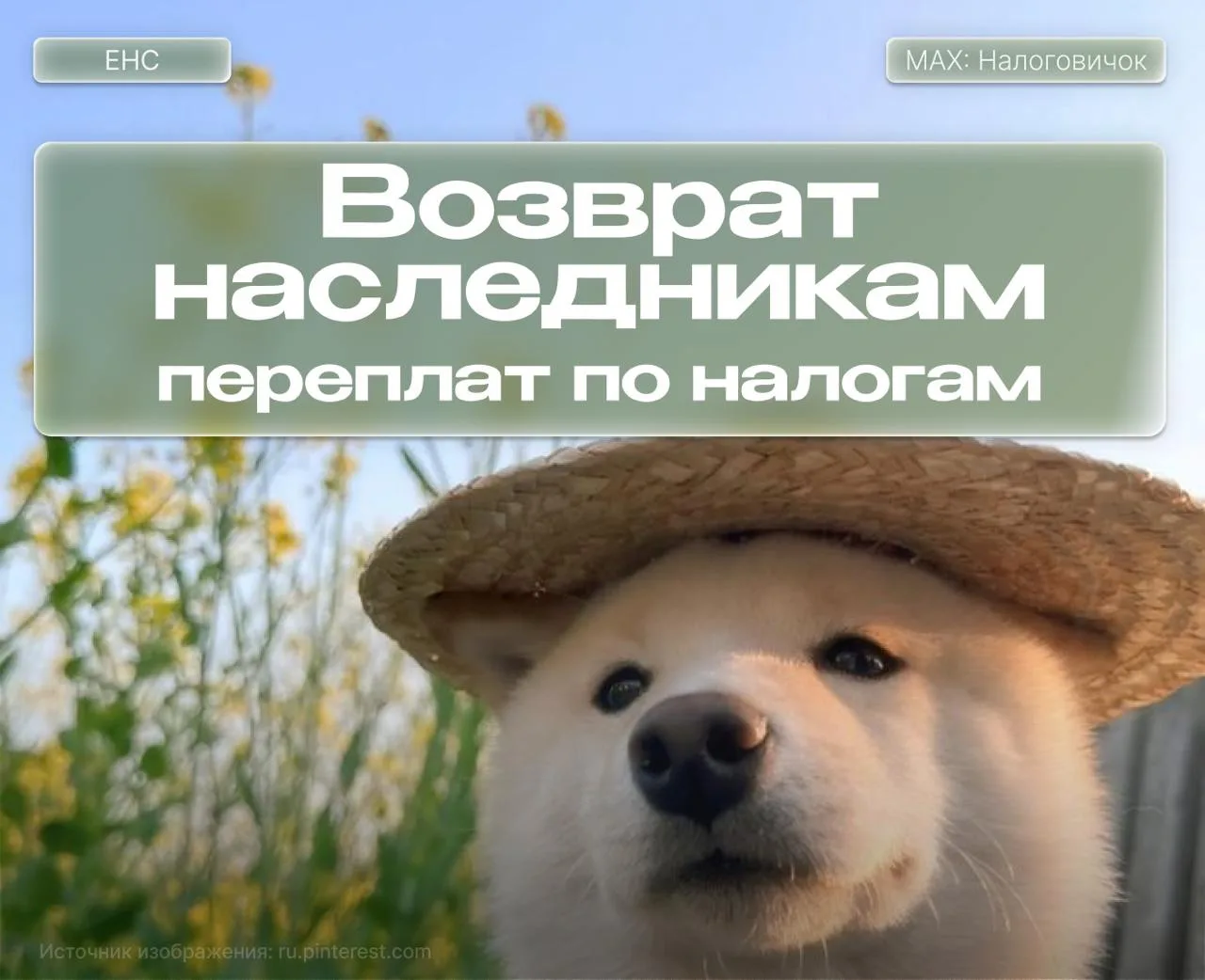 ⚡️Возврат наследникам переплат по налогам

Госдума приняла во втором и третьем чтении закон о возвра