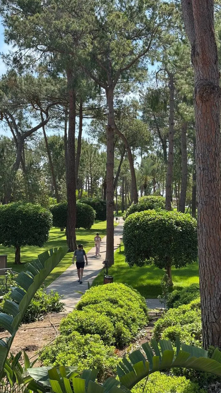 Невероятно красивый зеленый и стильный Balmy Foresta в Текирова (Кемер, Турция)