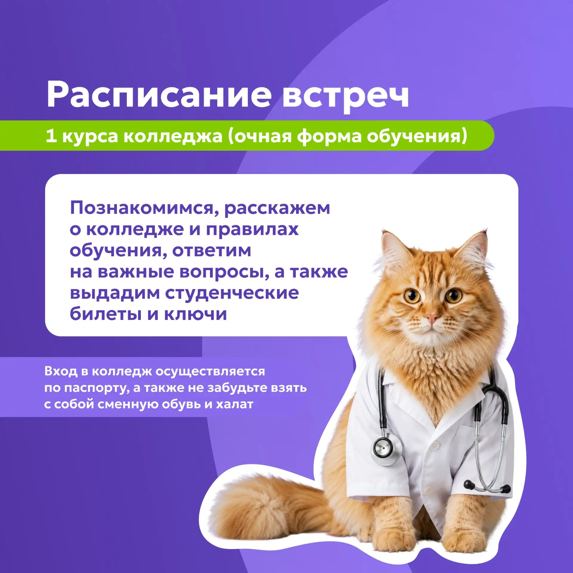 ✅ 31 августа в колледже ЮМЕД пройдут встречи первокурсников очной формы обучения с кура...