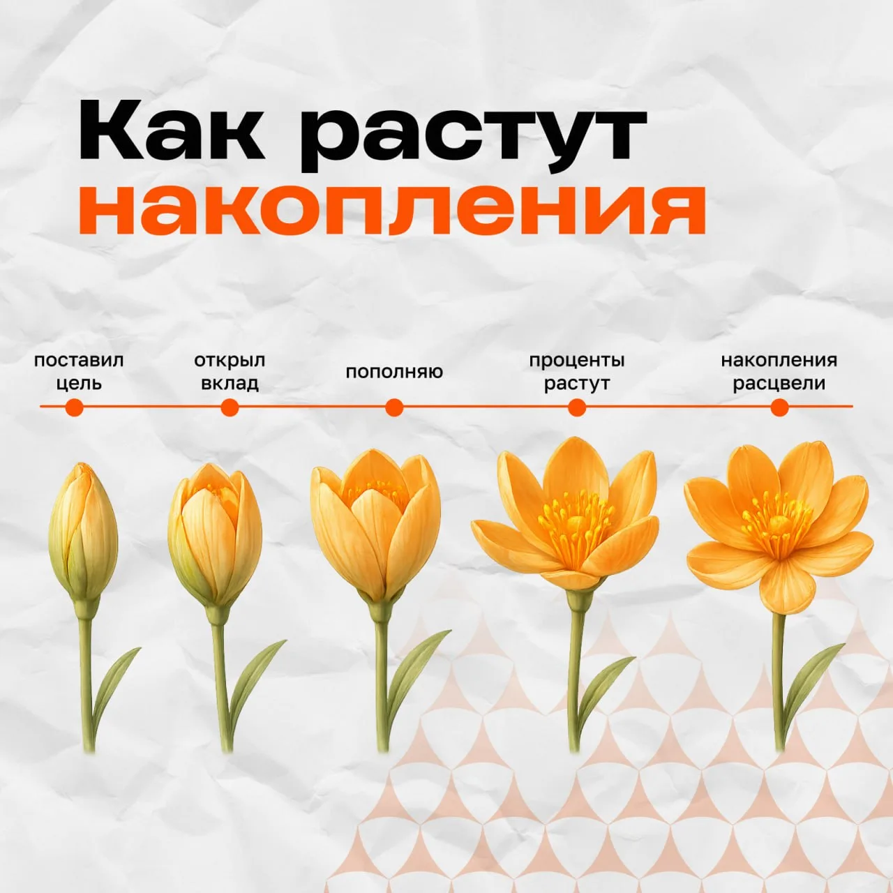 Можно бесконечно смотреть на три вещи: как течет вода, как распускается цветок и как ра...