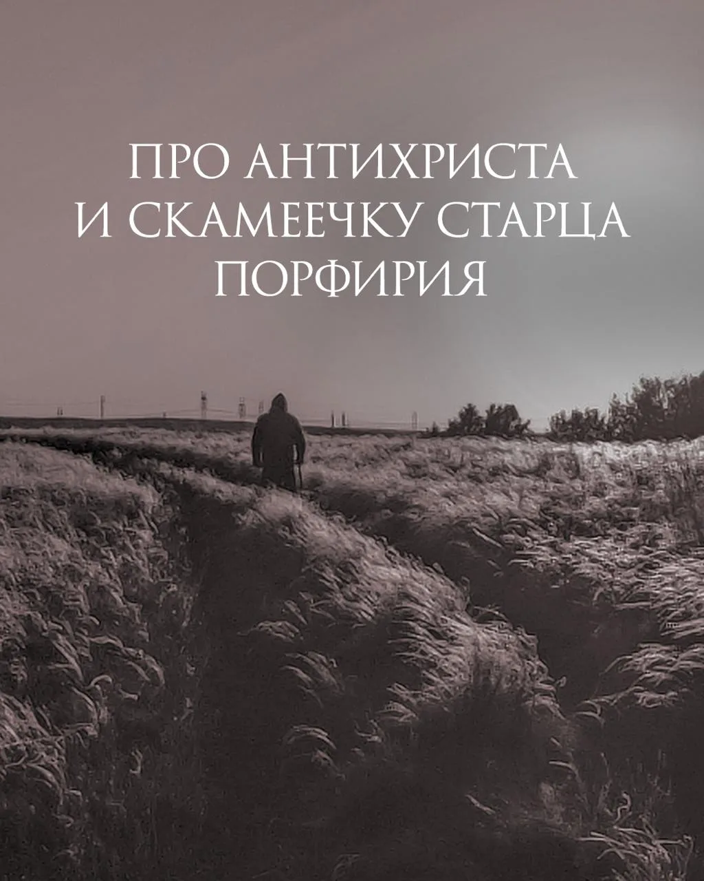Помните, я приводил пример Порфирия Кавсокаливита, когда на Афон пришел к нему один молодой человек 