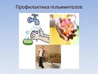 Профилактика гельминтозов: как защитить себя и детей