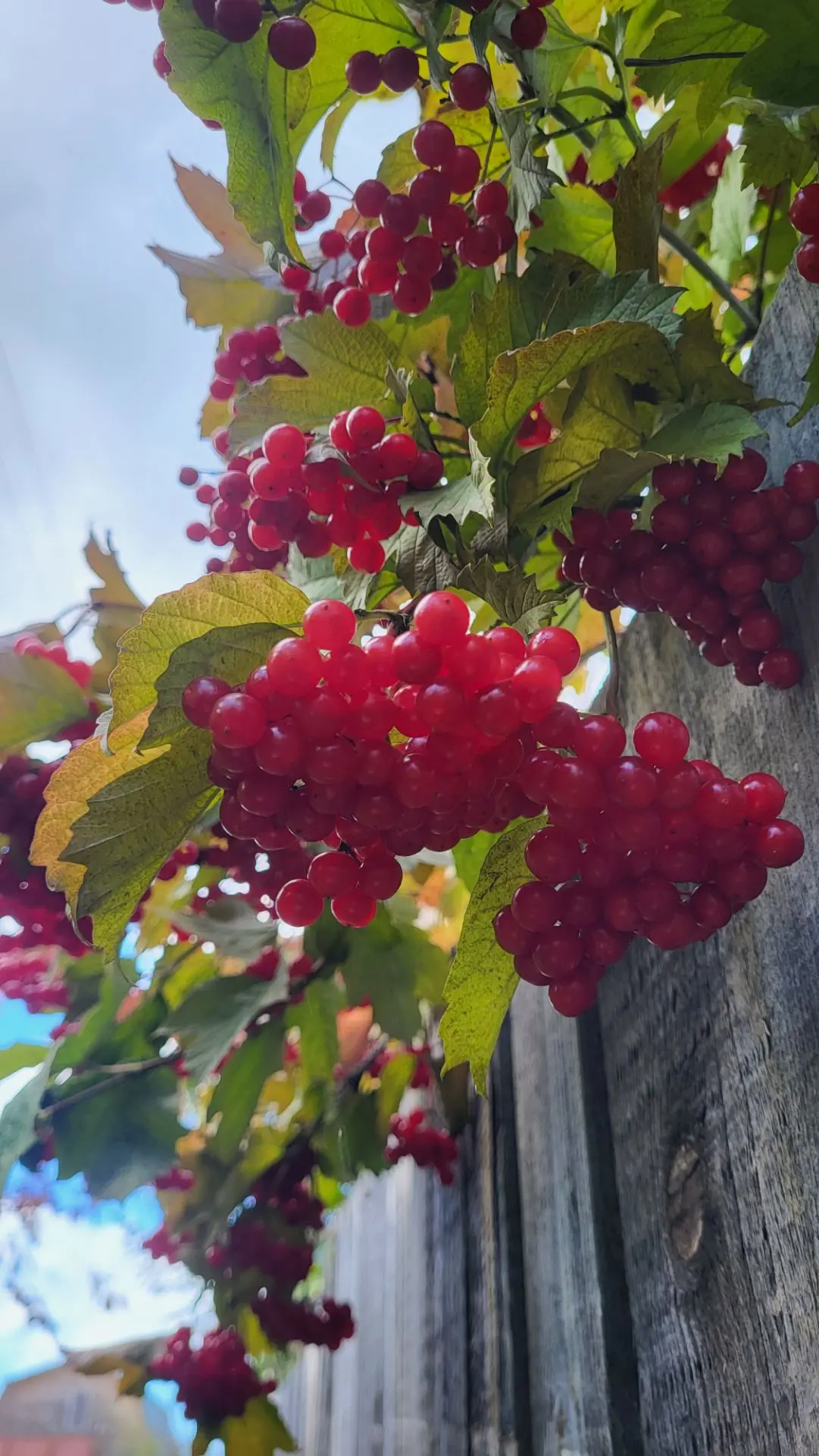 Доброго утречка❤️