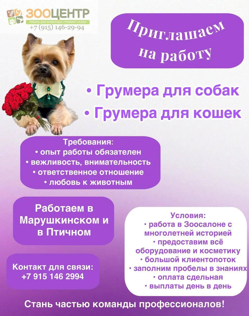 Сеть зоосалонов в Новой Москве ищет в команду профессионалов грумера в связи с увеличением клиентопо
