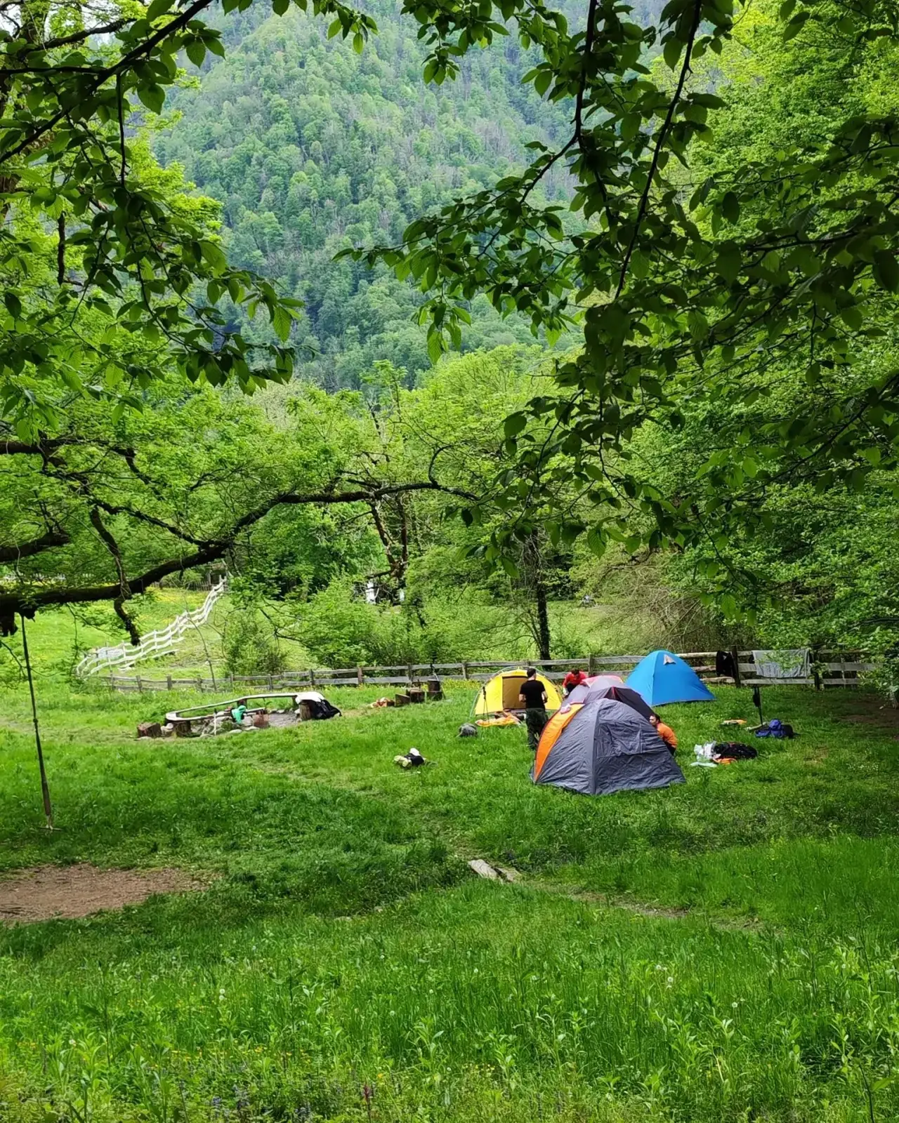🌲 Прошлые выходные: 20 км, 11 смельчаков и один дождик, который не испортил волшебства!  В минувшие 