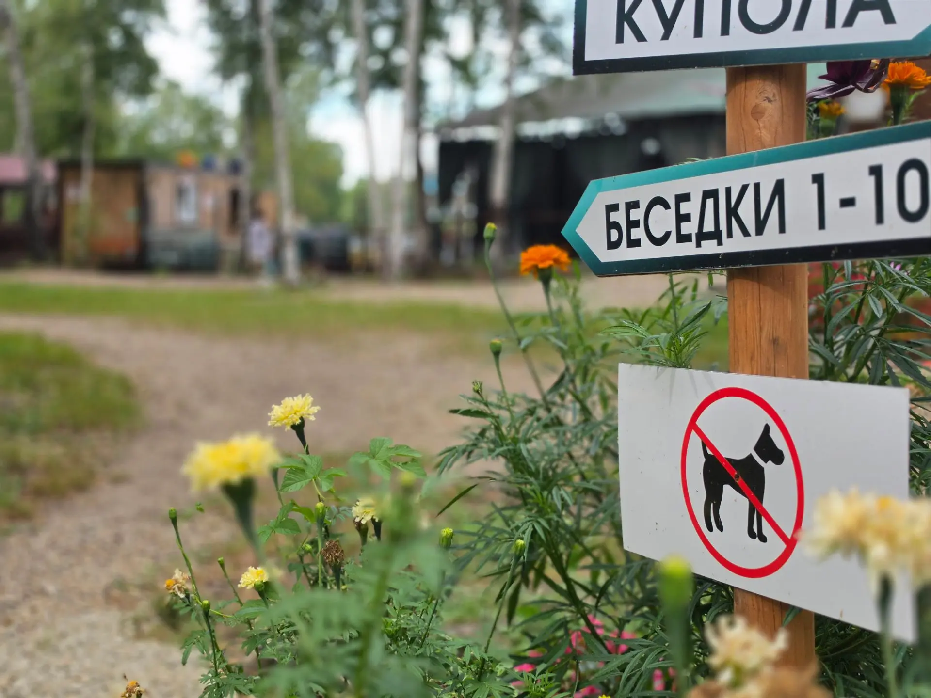 Друзья, без обид… но нет