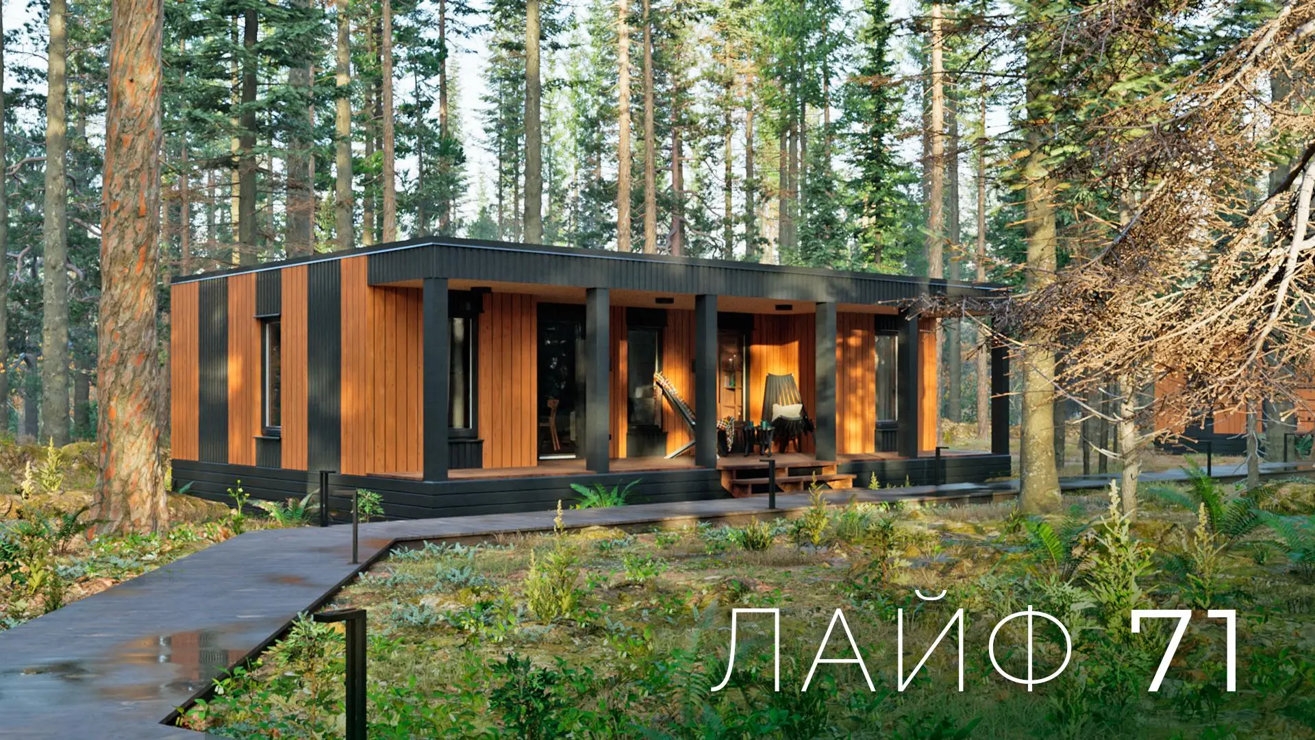 Проект ЛАЙФ 71