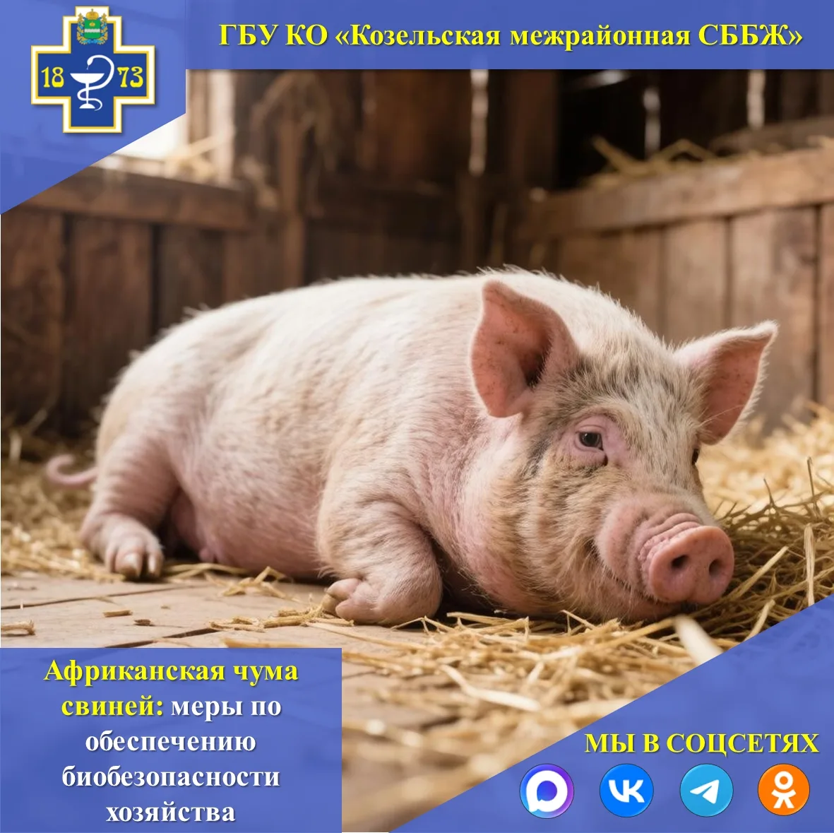 🐖АФРИКАНСКАЯ ЧУМА СВИНЕЙ: МЕРЫ ПО ОБЕСПЕЧЕНИЮ БИОБЕЗОПАСНОСТИ ХОЗЯЙСТВА
Африканская чума свиней (АЧ