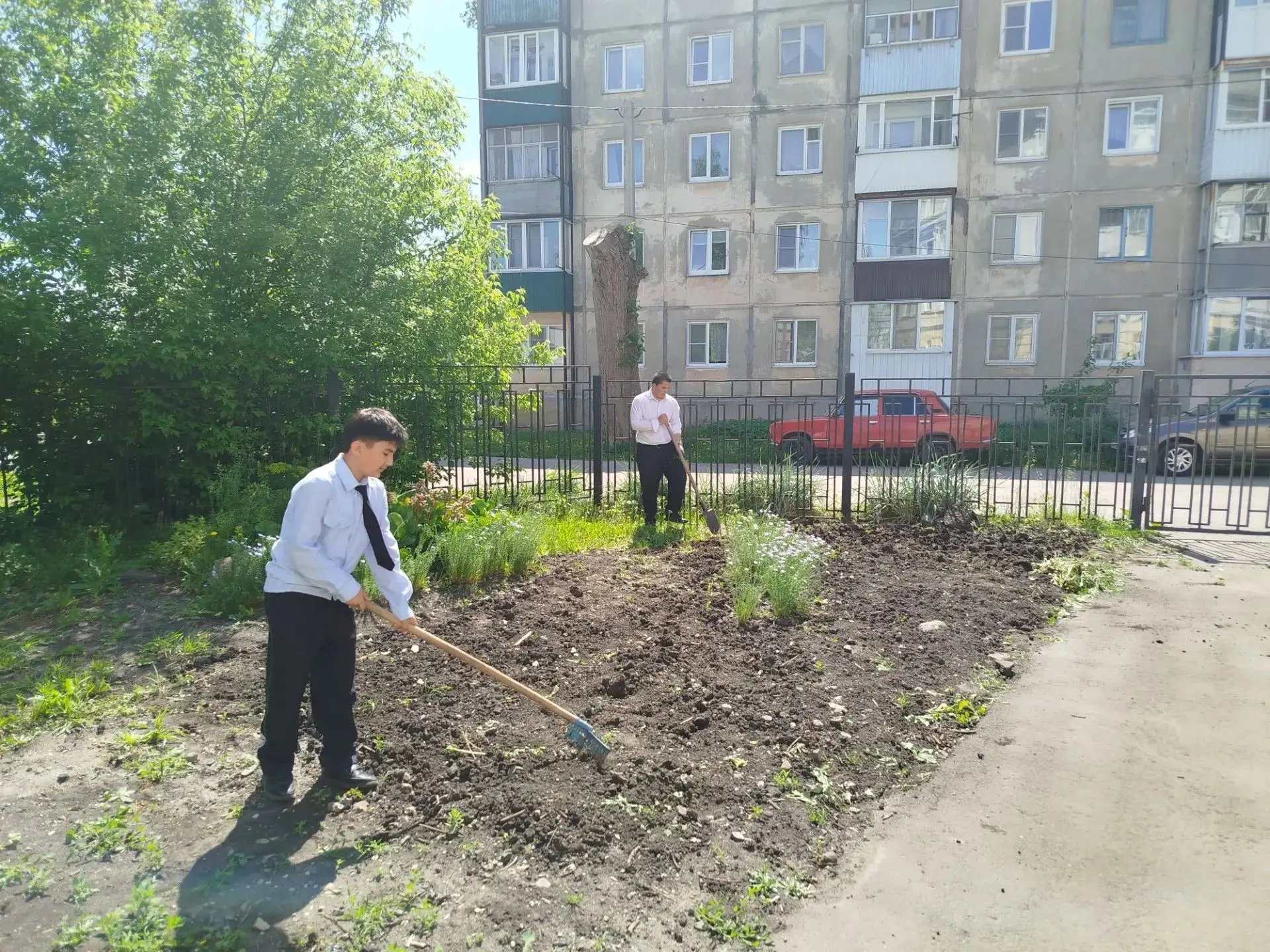 От семечка до урожая